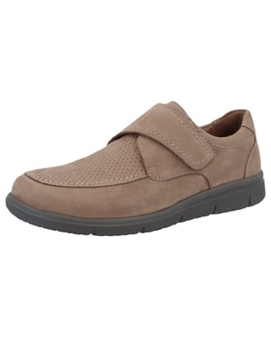 Solidus 64042-30366 hardy