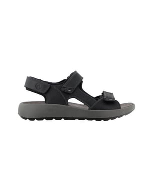 Ara 11-21506 piero