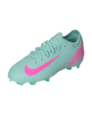 Nike Zoom vapor 16 pro fg