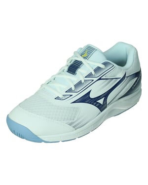 Mizuno Cyclone speed 5