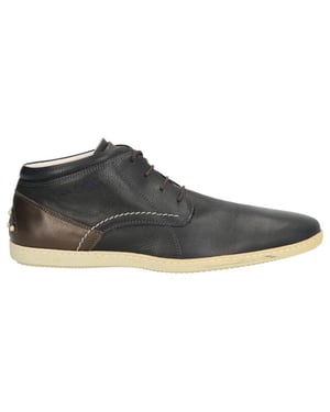 Van Lier 5407 48 combi