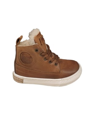 Gattino G2647