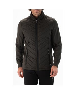 Falcon Hardy hardy-b044