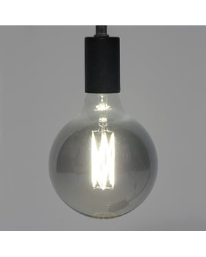 Hoyz Lichtbron led filament bol Ø12 5 e27 6w dimbaar / smoke grey glas