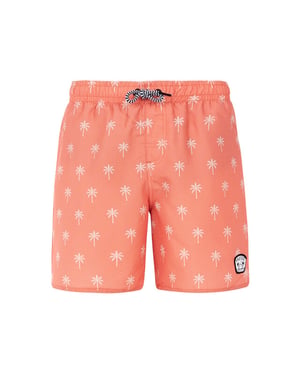 Protest prtfonz jr beachshort -