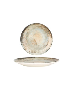 Rinart Dinerbord obvara porselein 27 cm set van 6