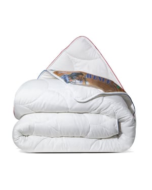 Avenue geavanceerd 4 seizoenen dekbed 200x200 cm anti allergie dekbed met
