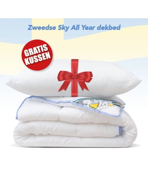 Swedish Sky All year dekbed + 1 hoofdkussen eenpersoons dekbed set 140x200 cm