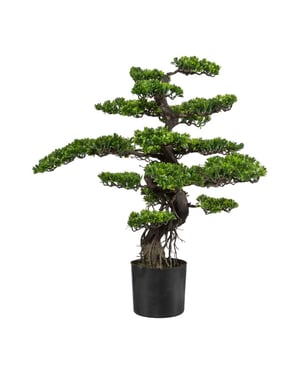 Kopu ® kunstplant bonsai 75 cm in zwarte pot bonsai boompje