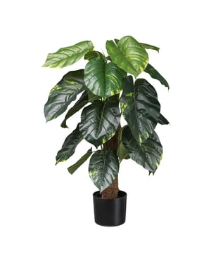 Kopu ® kunstplant pilondendron scandens 90 cm -
