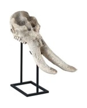 Furnilux terra wit antiek poly schedel beeld