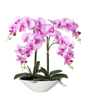 Kopu ® kunstbloem orchidee 53 cm met schaal ovaal phalenopsis