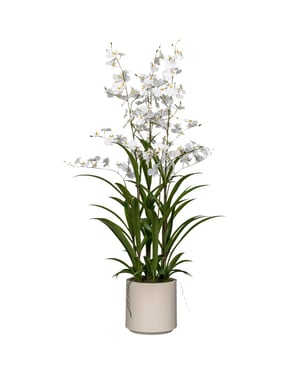 Kopu ® kunstbloem orchidee oncidium 98cm in pot -