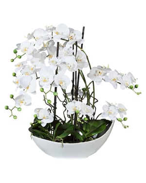 Kopu ® kunstbloem volle orchidee 68 cm met schaal phalenopsis
