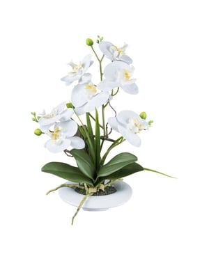 Kopu ® kunstbloem orchidee 41 cm met bloemschaal phalaenopsis