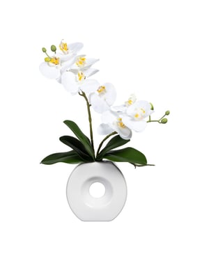 Kopu ® kunstbloem te orchidee 35 cm in mooie te vaas phalenopsis