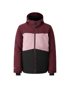 Dare 2B Childrens/Kids Send It! Ski Jacket (Fig)