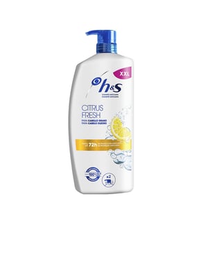 H&amps Citrus Fresh Anti-Roos Shampoo Voor Vettig Haar, 1000 ML Dispenser 1000 ml
