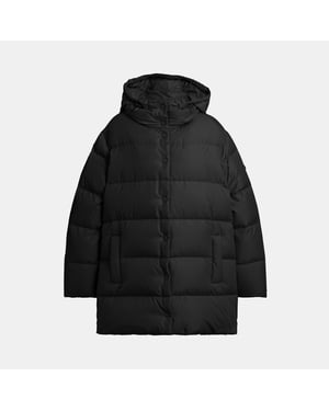Mid Puffer