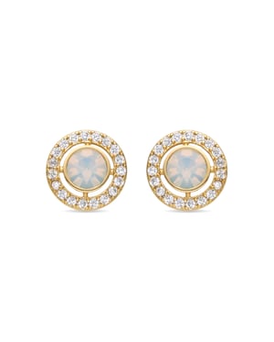 Luxenter Oorbellen met Glimmende Zirkonia 18k goud afwerking - Riashe