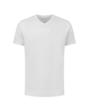 Slater Basic 2-pack t-shirt v-neck t-shirts 3500