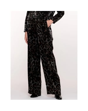 Geisha 51682-20 925 pants animal grey/bronze