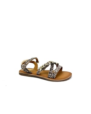 Braqeez 425018-506
