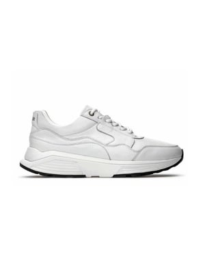 Xsensible Golden gate men h