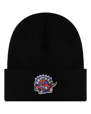 Mitchell & Ness NBA Toronto Raptors Team Logo Beanie