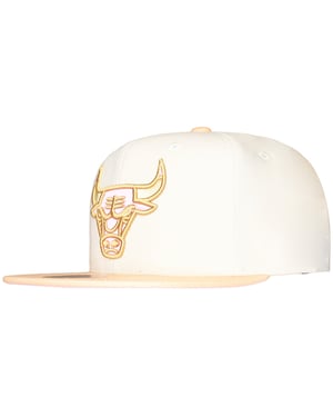 Mitchell & Ness NBA Chicago Bulls Lovers Lane Cap