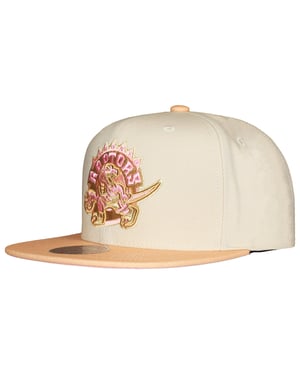 Mitchell & Ness NBA Toronto Raptors Lovers Lane Cap