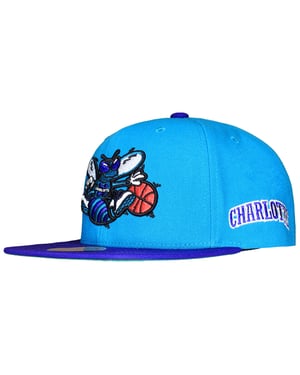 Mitchell & Ness NBA Charlotte Hornets Team Orgins Cap