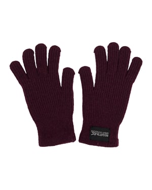 Regatta Volwassen unisex Connora-handschoenen (Afb.)