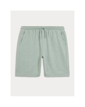 Aeden Gugo short sea foam