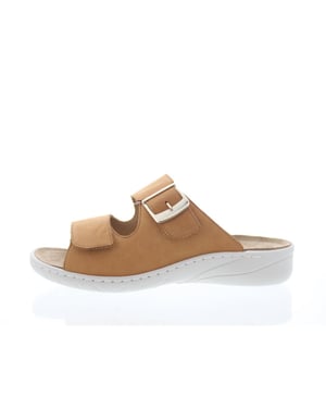 Solidus Wellness spezial