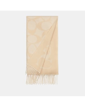 Signature C Oversized Logo Muffler