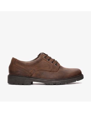 Lane Stride Brown Leather Shoes