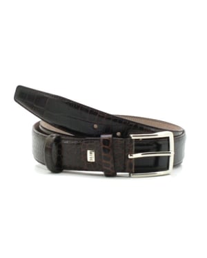Alpelle  1109 02-d croco