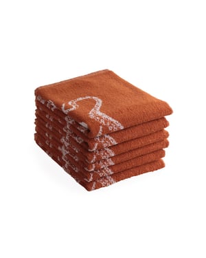 DoubleDry Luxe keukenhanddoeken set 6 stuks 50x50 cm 100% katoen hoge