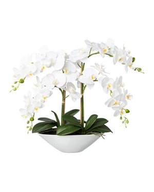 Kopu ® kunstbloem orchidee 53 cm met schaal ovaal phalenopsis