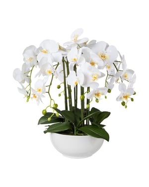 Kopu ® kunstbloem orchidee 54 cm met schaal phalenopsis