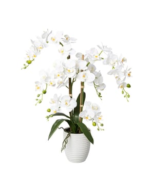 Kopu ® kunstbloem orchidee 67 cm in bloempot rond phalaenopsis
