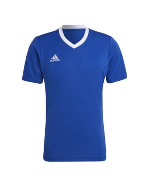 Entrada 22 Jersey