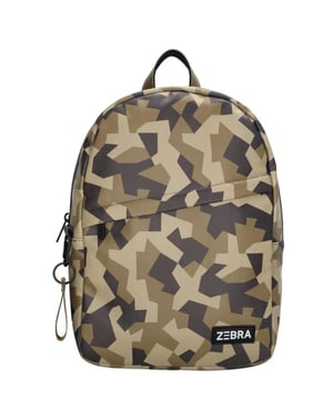 Zebra 22593997