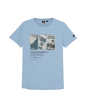 Indian Blue 960183
