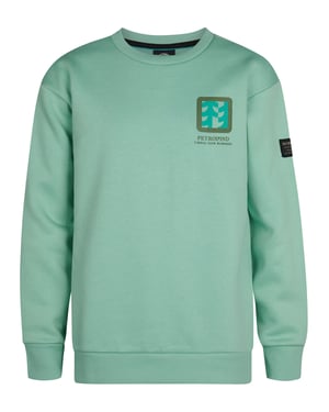 Petrol Industries - Jongens Backprint Sweater Pocono - Blauw