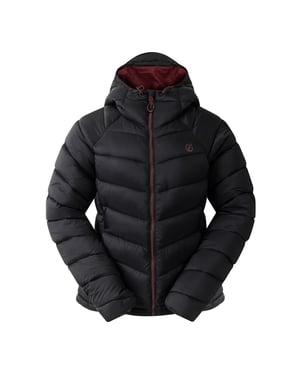 Dare 2B Womens/Ladies Torrek Baffled Padded Jacket (Black)