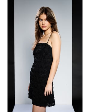 Runway 1.8.1.8 Rose Embellished Mesh Mini Dress