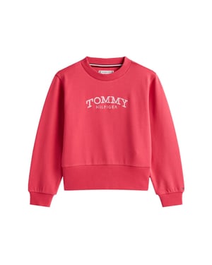 Tommy Hilfiger Sweat kg0kg08989