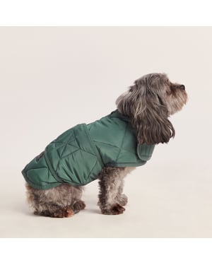 Fido Padded Dog Coat XS - Racing Green